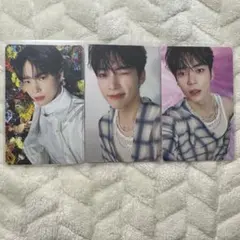 ゼベワン ハンビン ゆらゆら 封入トレカ