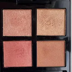 アディクション ザ アイシャドウ パレット +010