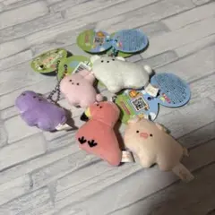 つぶらな瞳 5個セット