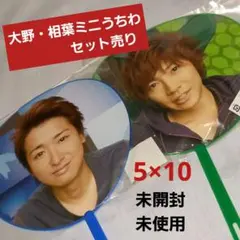 嵐　5×10ミニうちわ /大野/相葉セット　記念に　貴重