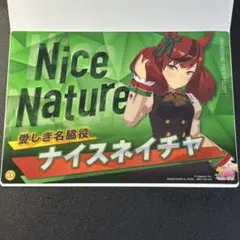 ナイスネイチャ クリアビジュアルポスター