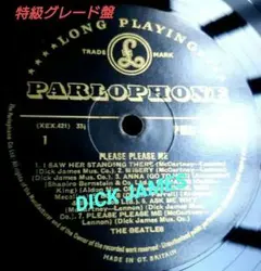 UK盤The Beatles Please Please Me