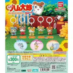 とっとこハム太郎 めじるしアクセサリー ちゅー！ ガチャ 全種セット