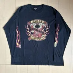 【希少サイズ】ハーレーダビッドソン フレイムスリーブ ロンＴ