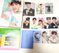 SEVENTEEN　face the sun　SECTOR17 fml　ドギョム