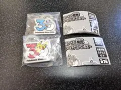 ポケモン30周年 メタルチャームマスコット ピカチュウ ゼニガメ 2個セット