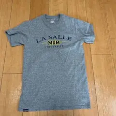 JANSPORT LA SALLE UNIVERSITY Tシャツ S