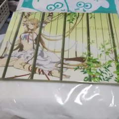 ソードアート・オンライン B5下敷きC アスナ(ティターニア)