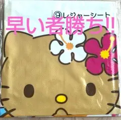 Item thumbnail for item 6bbf55e4-44de-4962-b728-37b1c607527e