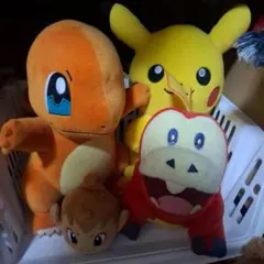 激安！ポケモン ぬいぐるみセット