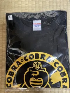 COBRA Tシャツ LサイズANGER FLARES Oi PUNK