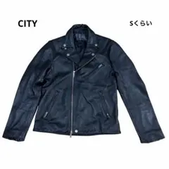 Item thumbnail for item cfb17fa4-670c-45a7-a501-134610b81957