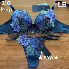 サルート 21 LB P-upブラ&ソング