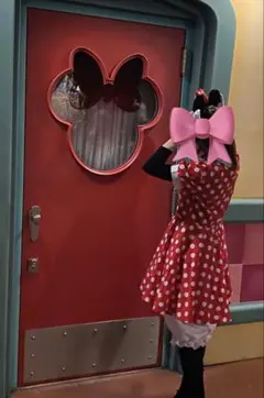 ディズニー ハロウィン ミニーマウス 仮装 コスプレ 大人