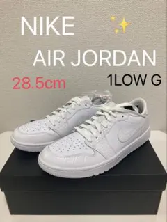 NIKE AIR JORDAN 1 LOW G