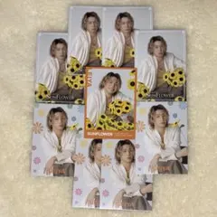 FANTASTICS 瀬口黎弥 SUNFLOWER フォトカ シクレ セット