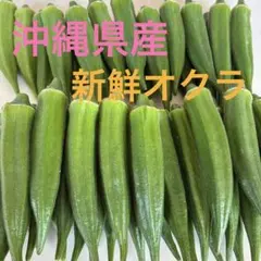 新鮮採れたてオクラ　40本のサムネイル