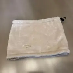 Item thumbnail for item 9f2d6c68-d5c1-4245-9bfa-b3c187a4ae44