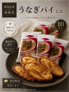 1025 未開封【うなぎパイ ミニ　10本　春華堂　浜松】