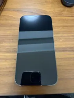 Apple iPhone 12 Pro Max グラファイト