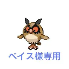 ベイス様 専用
