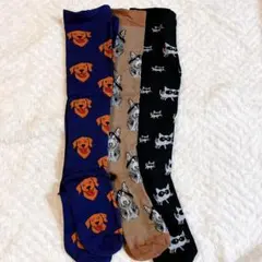 Item thumbnail for item b763a5a6-6d6b-438b-ae38-479e1ab20c6c