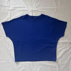 Item thumbnail for item a29012f1-1260-4f41-b198-628aea97fc79