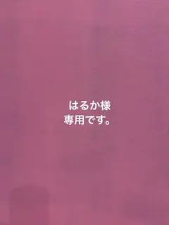 はるか様 リクエスト 3点 まとめ商品