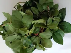 バラの葉っぱ/造花