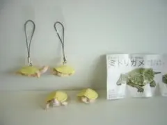 2025年最新】ネイチャー ミドリガメの人気アイテム - メルカリ