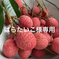 はらたいこ様専用