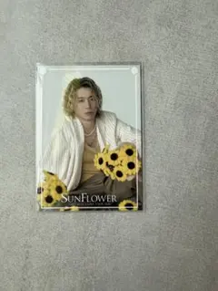 瀬口黎弥 フォトカ