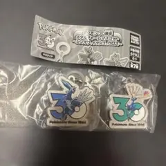 ポケモン30周年 メタルチャームマスコット 2種セット