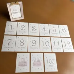 赤ちゃん　ニューボーンフォト　マンスリーカード　月齢フォト　16枚セット