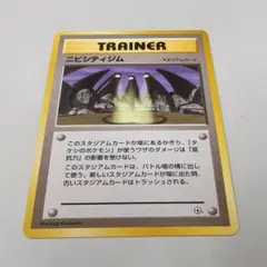 Item thumbnail for item 5a6d35e6-0b67-4375-83f5-616c4bba670a