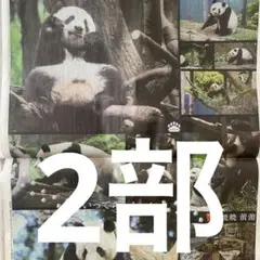 パンダ　シャオシャオ　レイレイ　1.19日刊スポーツ2部セット