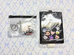 Stray Kids アクリルスタンドケース ミニアルバムキーリング&ミニフォト