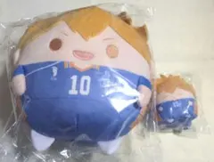 ハイキュー ぬいくじ ふわコロりん 日向 2点セット