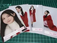 しんしん様 リクエスト 3点 まとめ商品