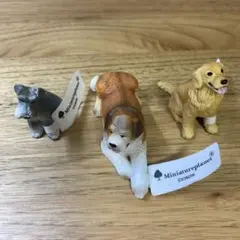 2025年最新】セントバーナード ぬいぐるみの人気アイテム - メルカリ