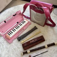 女子　小学生　入学セットのサムネイル