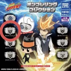 ボンゴレリングコレクション 晴 1点