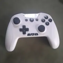 ホワイトプロコントローラー Nintendo Switch