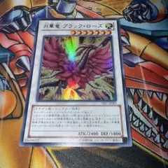 月華竜ブラックローズ