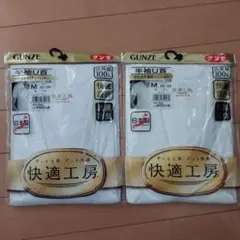 GUNZE 半袖U首 Tシャツ Mサイズ 2枚セット