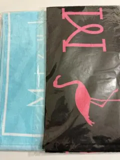 Item thumbnail for item 5821371f-c34a-4cd5-a155-55522f2076ab