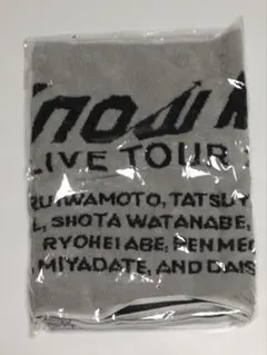 Snow Man LIVE TOUR 2022 Labo. タオル