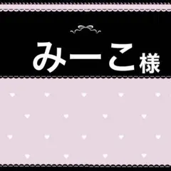 【速達】みーこ様専用ページ1.24