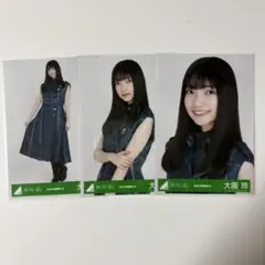 2026年最新】欅坂46生写真の人気アイテム - メルカリ