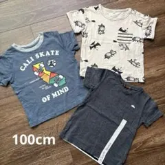 半袖 まとめ売り 100cm GAP スタジオミニ しまむら 恐竜のサムネイル